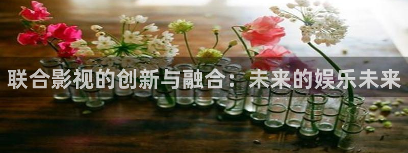 吉吉影音理论：联合影视的创新与融合：未来的娱乐未来