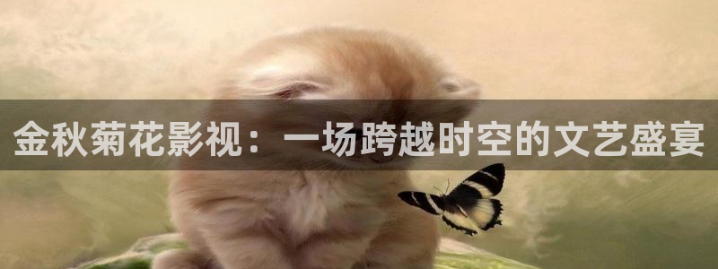 6080新视觉电影理论电视剧在线观看美：金秋菊花影视：一场跨越时空的文艺盛宴
