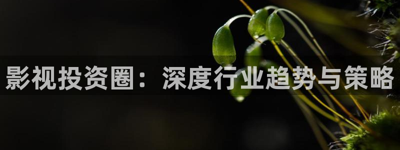 策驰影视理论：影视投资圈：深度行业趋势与策略
