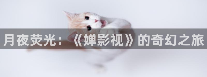 免费看理论电影：月夜荧光：《婵影视》的奇幻之旅