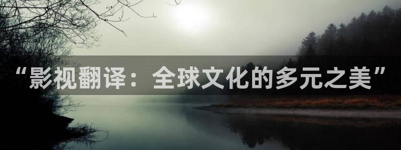 理论电影在线观看视频：“影视翻译：全球文化的多元之美”