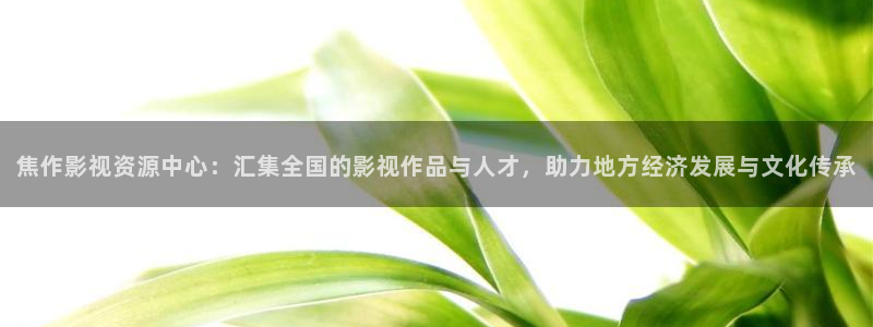理论大片免费看：焦作影视资源中心：汇集全国的影视作品与人才，助力地方经济发展与文化传承